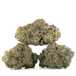 weedsmart_image_Blueberry Bomb (AAA) weedsmart_image_Blueberry Bomb (AAA)