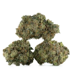 weedsmart_image_Death-Valley-OG-Strain-Multi-1200x1200 weedsmart_image_Death-Valley-OG-Strain-Multi-1200x1200