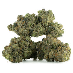 weedsmart_image_All Gas OG (LSO) AAA+ weedsmart_image_All Gas OG (LSO) AAA+