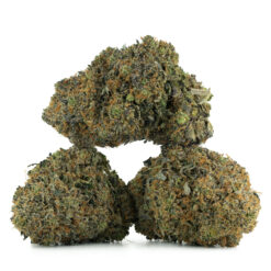 weedsmart_image_Bubba-Island-Kush-Strain-Multi weedsmart_image_Bubba-Island-Kush-Strain-Multi