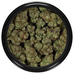 weedsmart_image_Comatose-OG-Strain-Bag weedsmart_image_Comatose-OG-Strain-Bag