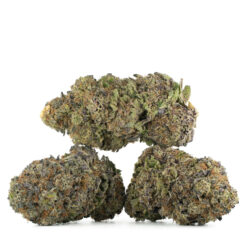 weedsmart_image_Black-Cherry-Soda-Strain-Multi-3 weedsmart_image_Black-Cherry-Soda-Strain-Multi-3