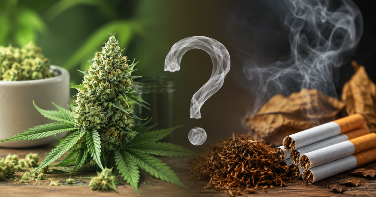 is weed a type of tobacco The Truth About Marijuana Does Weed Have Nicotine? The