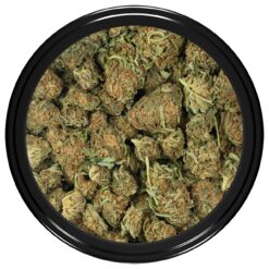 weedsmart_image_Acapulco