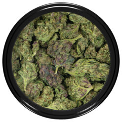weedsmart_image_Purple-Candy-Strain-(Bag)