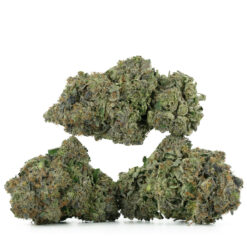 weedsmart_image_Astro-Pink-Kush-Strain-Multi weedsmart_image_Astro-Pink-Kush-Strain-Multi