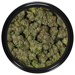 weedsmart_image_Aficionado-Kush-Strain-Bag weedsmart_image_Aficionado-Kush-Strain-Bag